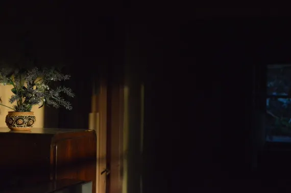 Trada Casino Assistance